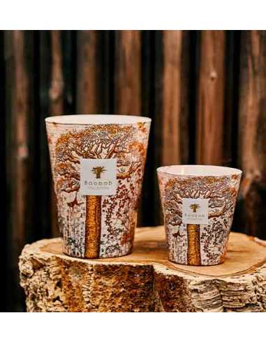 Bougie Parfumée Sacred Trees Dualla Max 10 Baobab Collection | Toulouse Soulery