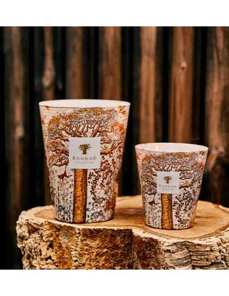 Bougie Parfumée Sacred Trees Dualla Max 10 Baobab Collection | Toulouse Soulery