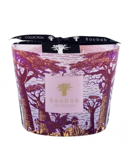 Bougie Parfumée Sacred Trees Massasso Max 10 Baobab Collection présentée de face｜Soulery Toulouse