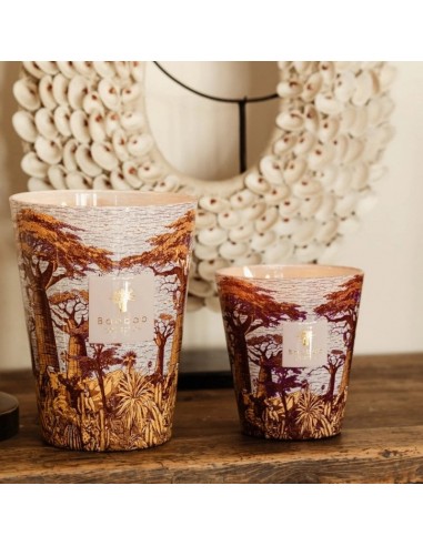 Bougie Parfumée Sacred Trees Massasso Max 10 Baobab Collection présentée en double｜Soulery Toulouse