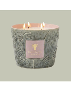 Bougie Paz Colombe Vert Homme Baobab Collection présentée de face｜Magasin Homme Toulouse