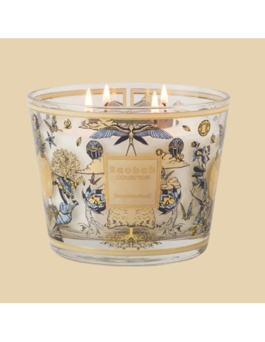 Tomorrowland 2026 Vert Homme Baobab Collection présentée de face｜Magasin Homme Toulouse